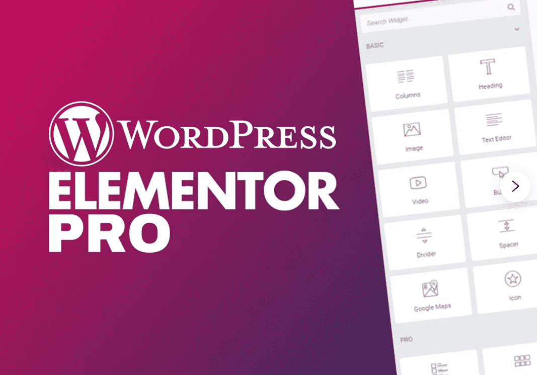 ELEMENTOR PRO